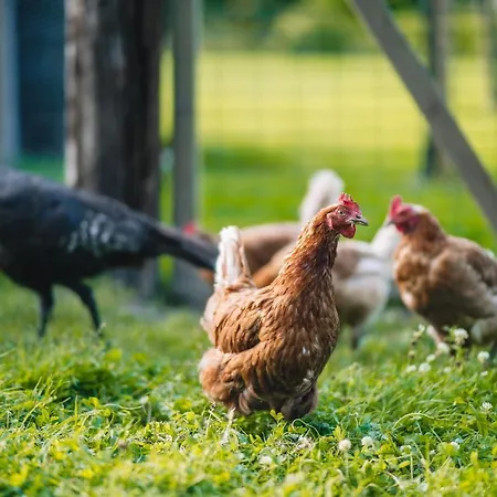 Дом отдыха A La Maison D'ode